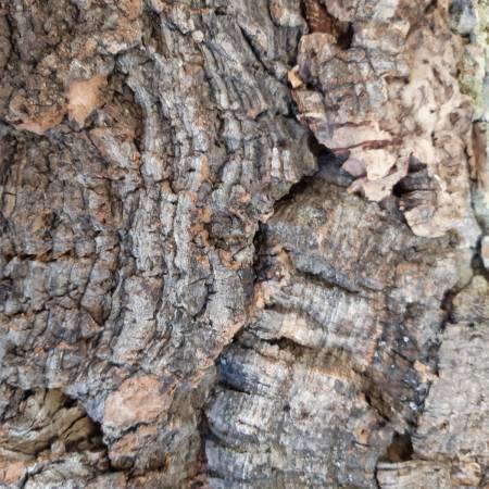 Nos prestations sur le secteur de Libourne 33500 en Gironde