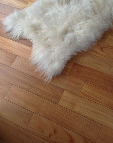 Nos prestations sur le secteur de Mérignac 33700 près de Bordeaux