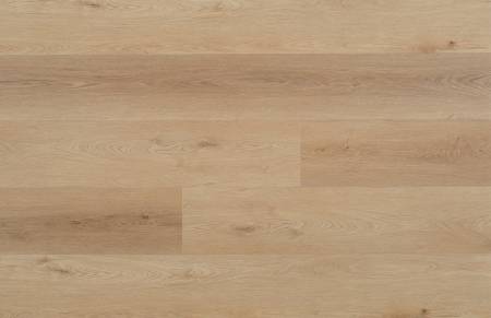 Nos prestations sur le secteur de Pessac 33600 en Gironde 